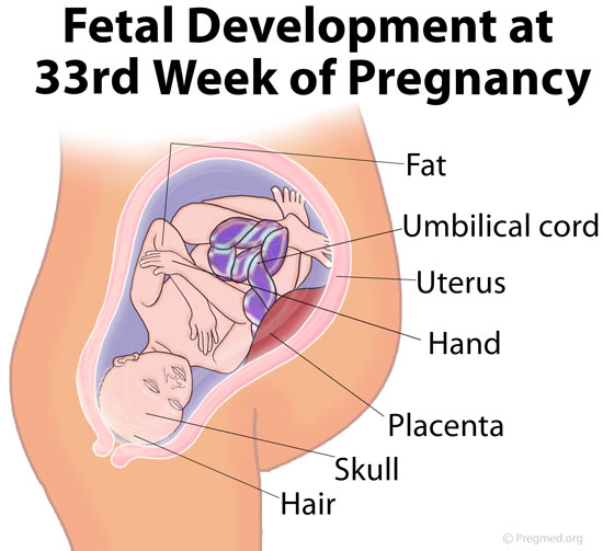 33 Weeks Pregnant Picture