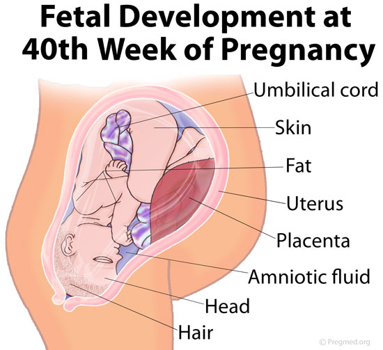 40 Weeks Pregnant Picture