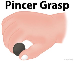 Pincer Grasp