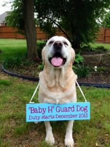 Pregnancy Announcement with Your Dog